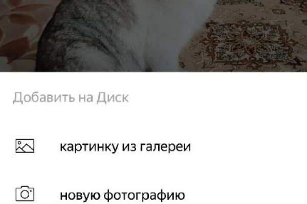 Кракен дарк шоп