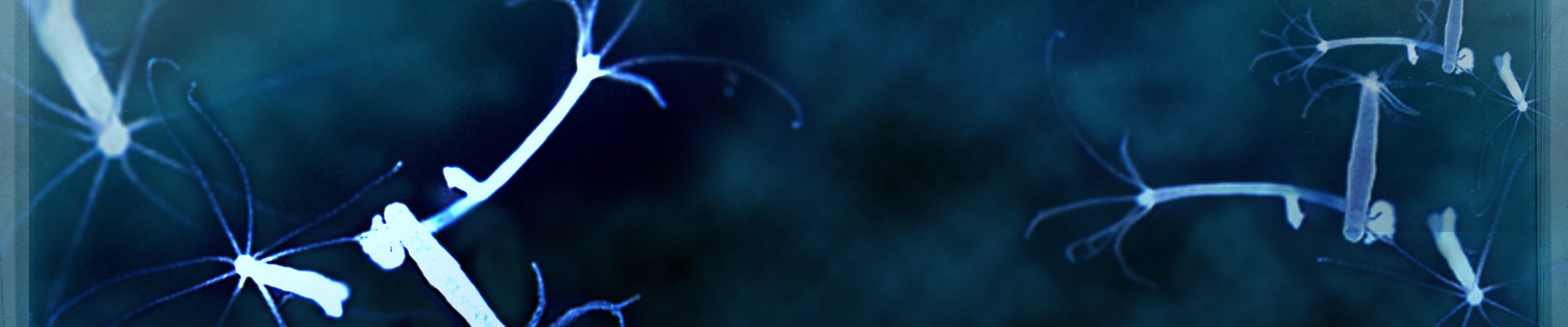 2krn at что такое